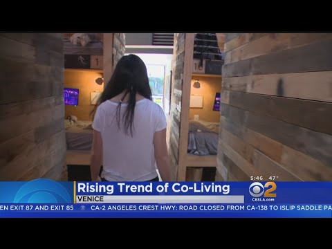 Adult Dorms Grow In Popularity