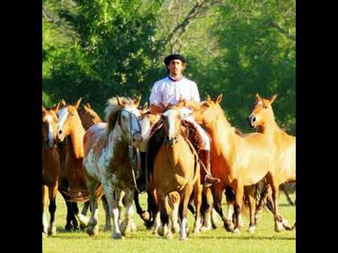 El cencerro de la mora-Carlos ramon fernandez