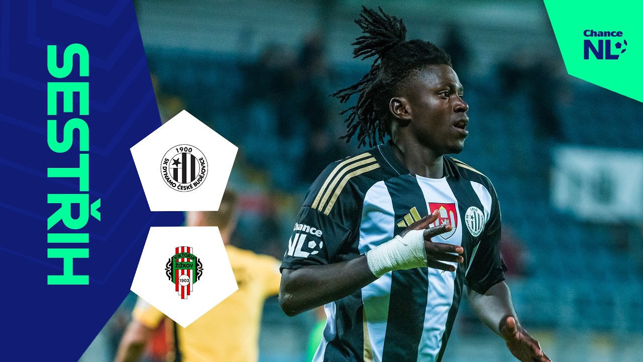 SK Dynamo České Budějovice vs FK Viktoria Žižkov Highlights