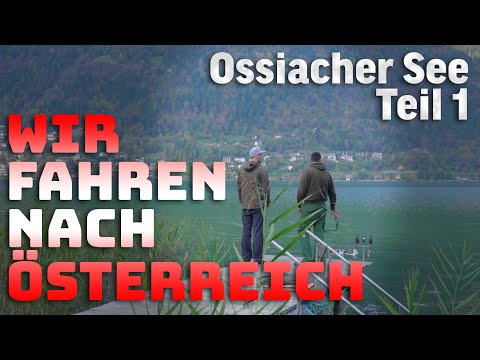Karpfen und Angeln - Ossiacher See #1