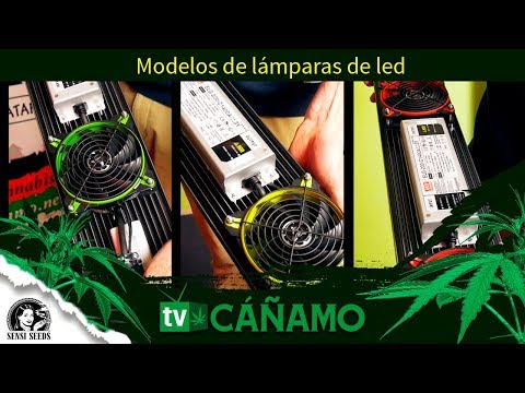 download lagu mp3 mp4 Lumilight, download lagu Lumilight gratis, unduh video klip Lumilight