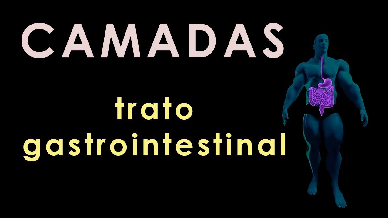 Camadas do Trato Gastrintestinal