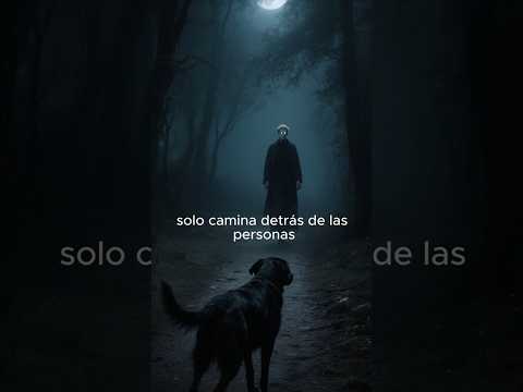 El Perro del Camino de Santiago Atitlán #shorts