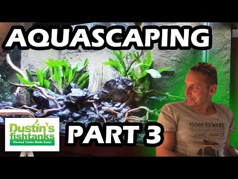 How to Aquascape an Aquarium Part 3 with Oliver Knott Video