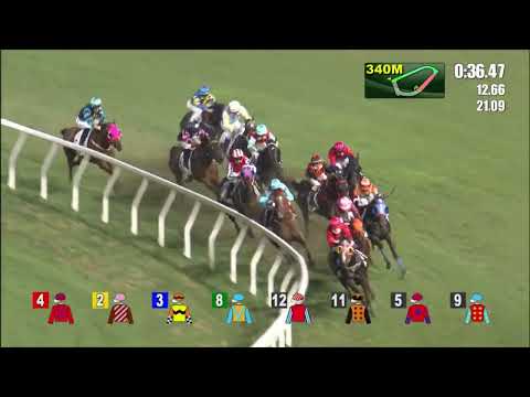 1/6/2022 (713) Sunny And Gold - K Teetan