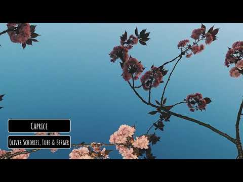Oliver Schories, Tube & Berger - Caprice