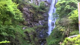 preview picture of video 'Pistyll Rhaeadr UK tallest single drop waterfall'