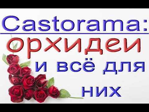 КАСТОРАМА:орхидеи и ВСЁ для них,ПОДРОБНОЕ видео."Максидом",21.02.20,Самара.