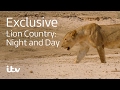 Lion Country: Night and Day | ITV