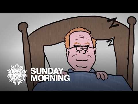 為什麼睡覺、打盹和偷懶（有時）很重要？ (Why it's important to sleep, nap and be lazy (sometimes))