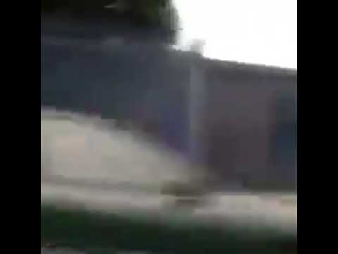 Danny dyer what have I gotten myself into i am fucking shitting myself #shorts