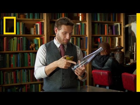 download lagu mp3 mp4 Pear Experiment, download lagu Pear Experiment gratis, unduh video klip Pear Experiment