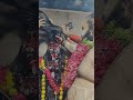 Kaali Mata Par Bakre Ki Bali