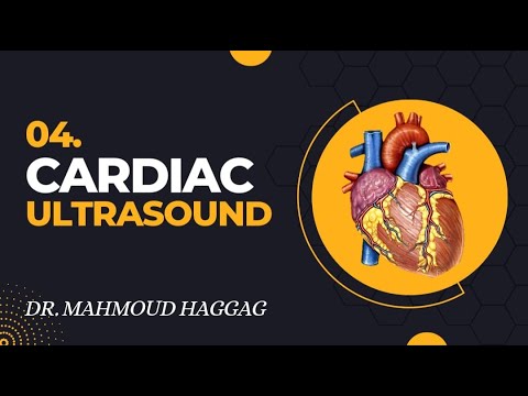 04 - Cardiac Ultrasound (Echocardiography) - POCUS Crash Course - Dec, 2022