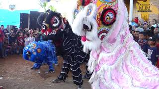 Download lagu Lanang Cobra - Burok Mjm Live Cipancur 27-08-2020 mp3