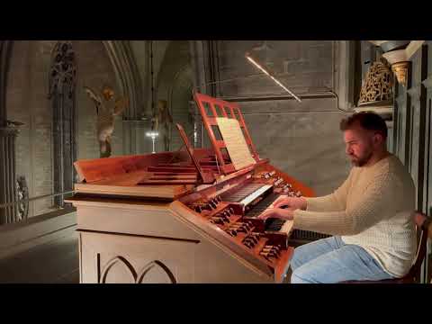 S. Karg-Elert: Macht hoch die Tür Op. 65 No. 8. Henrik Berg, organ.