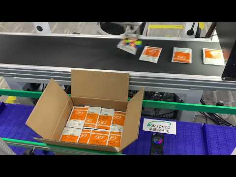 Warsonco High-Speed Pouch Automatic Packing Systems with Warsonco Delta Robot Up to 120ppm/robot