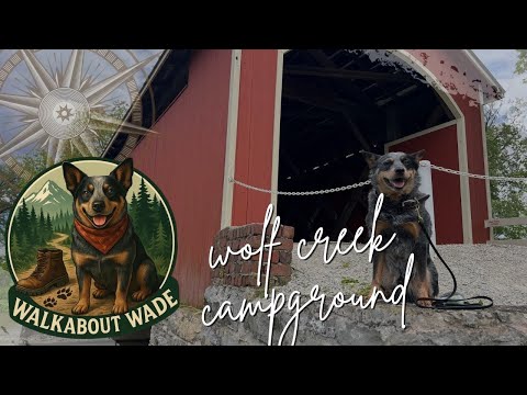 Exploring Wolf Creek