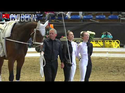 CVI Bern 2022 - Sonntag 29.5. - PDD 2*/3* - Free Test 2