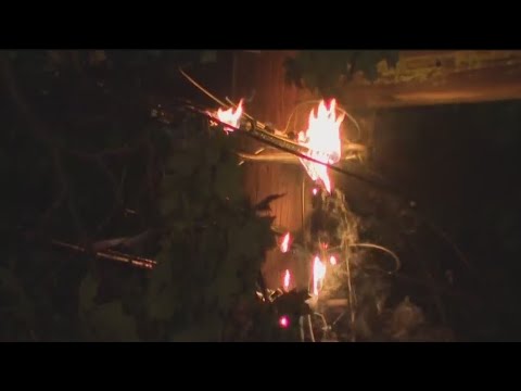 Powerful storm sweeps through NJ, downs power lines and trees