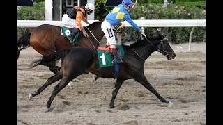 Download lagu Κυπριακές Ιπποδρομίες London Clubs International Cup 2005 mp3 Download lagu Κυπριακές Ιπποδρομίες London Clubs International Cup 2005 mp3