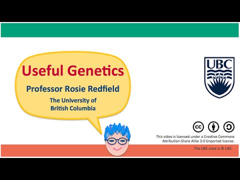 2P - Inferring evolutionary history from DNA differences, part 1