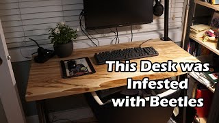 How to Build a Live Edge Desk | Ambrosia Maple Wood Top