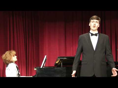 Gennady Grebenchuk - The Bright Moonlit Night/Ніч яка Місячна (Ukrainian)