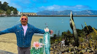 The Amazing Plants of the Bay Area