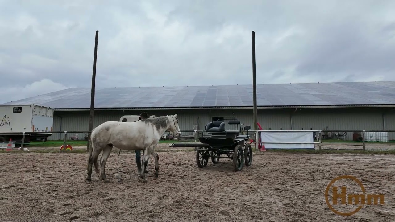Decouverte de la voiture en liberte