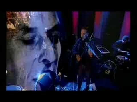 John Cale - Venus In Furs (Live)