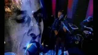 John Cale - Venus In Furs (Live)