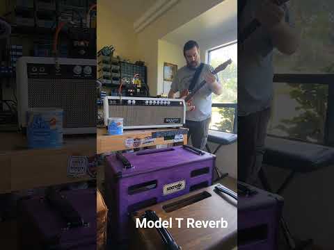Model T Reverb (Sunn) Handwired All Tube image 17
