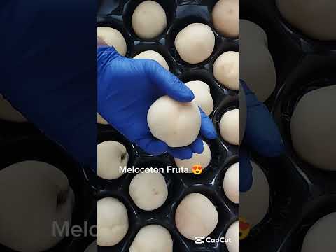 Deliciosa fruta de Melocoton #fyp #foryou #melocotón #fruta #frutas #frutatropical