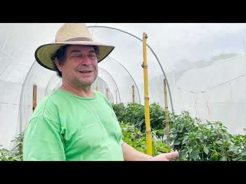 Hechos del Agro -  Proyecto Arca, agricultura orgánica