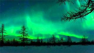 casino royale - là sopra qualcuno ti ama (luisnoise boreal dub)