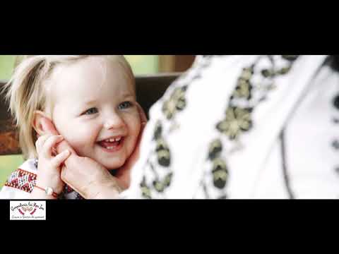 Gospodaria lui Nea Ion