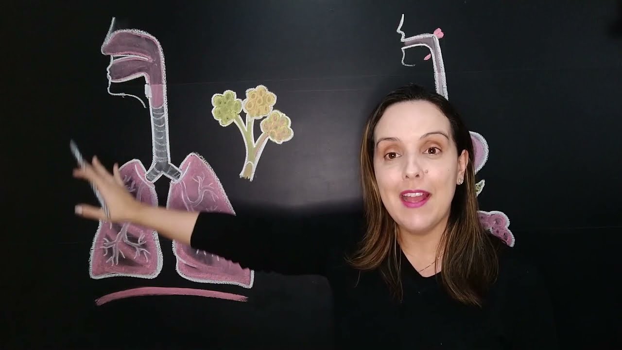 Como funciona o sistema respiratório + tutorial de experimento científico _ Habilidade EF05CI06