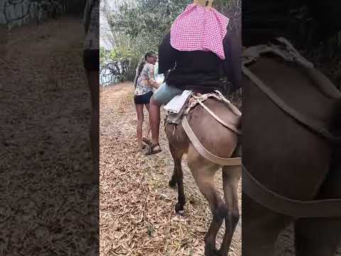 #sheik ostentando na serra du retiro Uruburetama ceara #humor