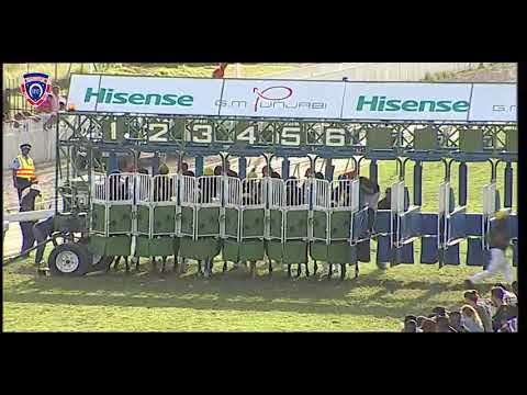 RM12 R6 | Viking Trail | I.Chisty