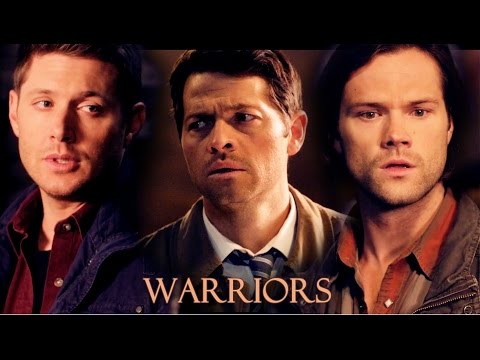 Team Free Will - Warriors [Angeldove]