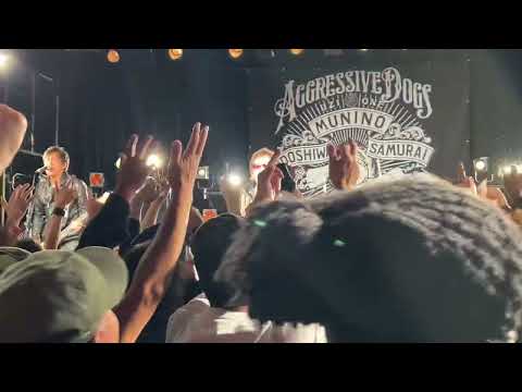 全部このままで／JUN SKY WALKER(S)