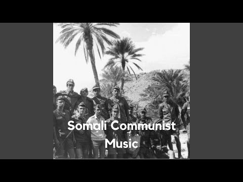 The Socialist Community