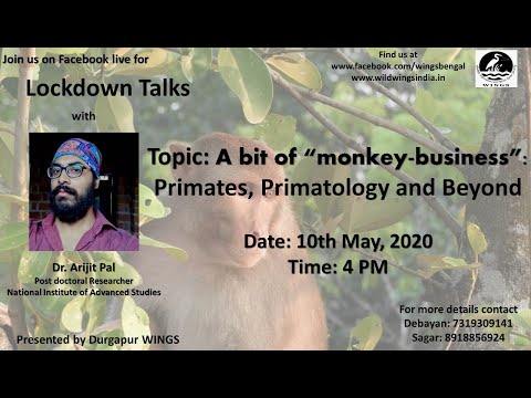 Lockdown Talks Session 10  A bit of  monkey business   Primates, Primatology and Beyond
