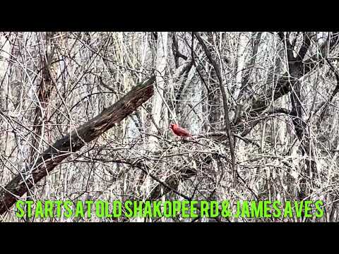 Central Park (9 Mile Creek) - Bloomington, MN (3/30/26)