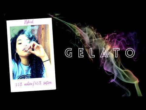 Gelato | Megan Thee Stallion x Cardi B x City Girls Type Beat