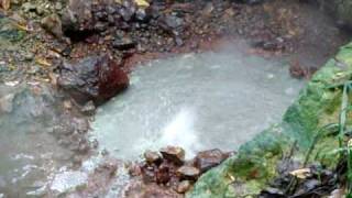 preview picture of video 'Hot Springs in Dominica'