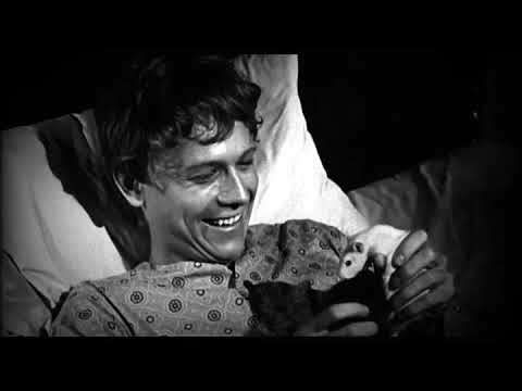 GORE FICTION LP | SOULPETE