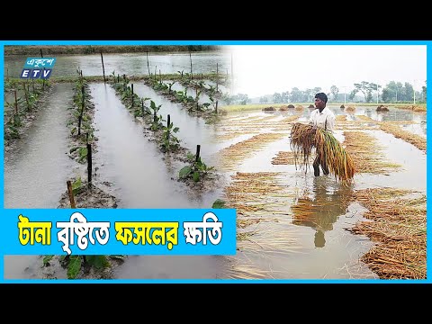উপকূলজুড়ে অশনির বিরূপ প্রভাব
