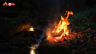 🔥 12 Hours Night Campfire by the Stream | Soothing Pure Sounds for Insomnia and Calmness